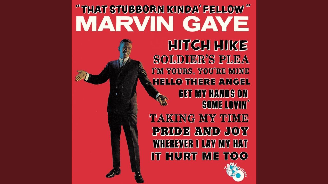 Stubborn Kind Of Fellow